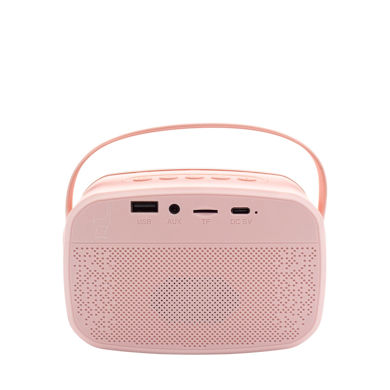 Light Up Karaoke Machine and 2 Microphones - Rose