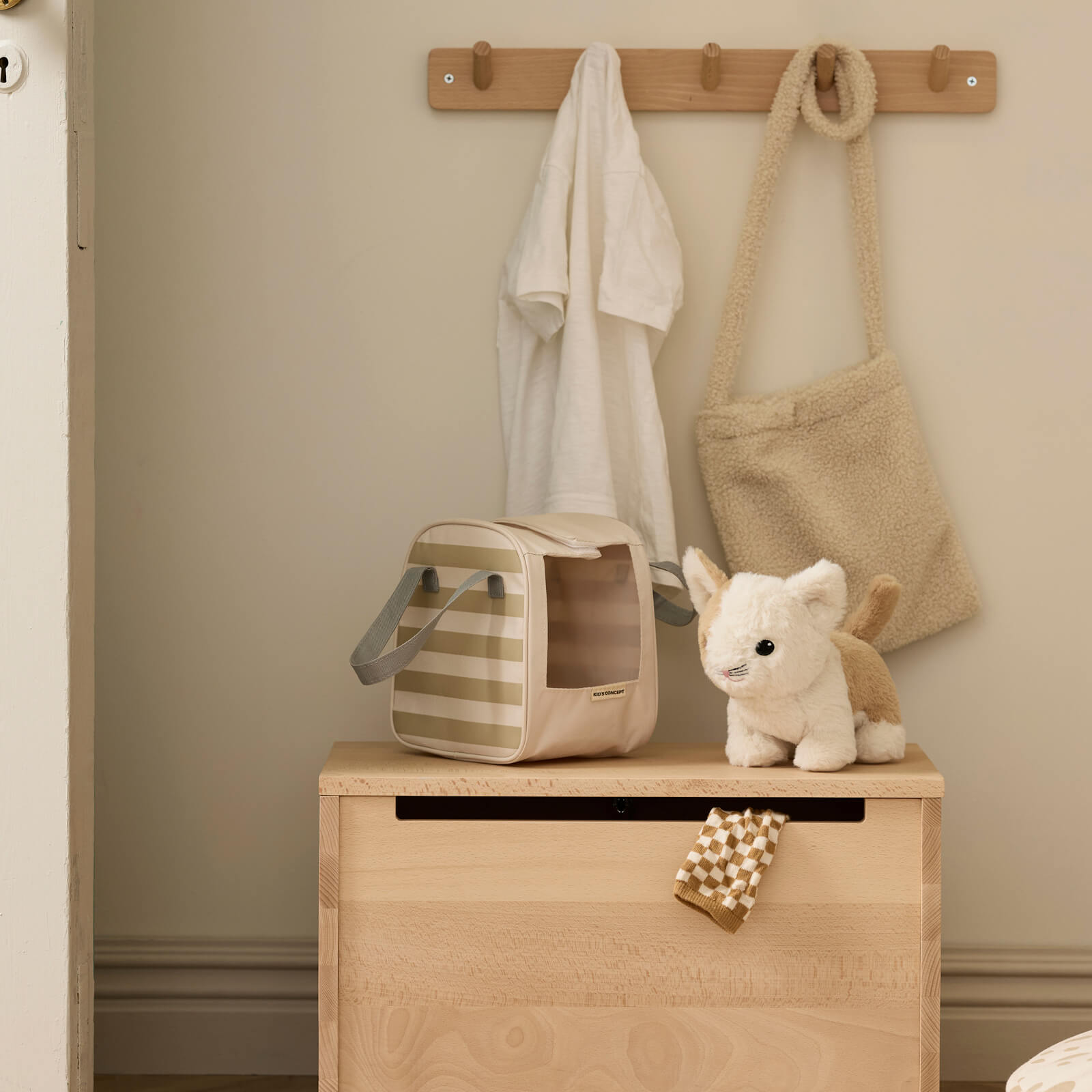 Cat and Carrier Bag