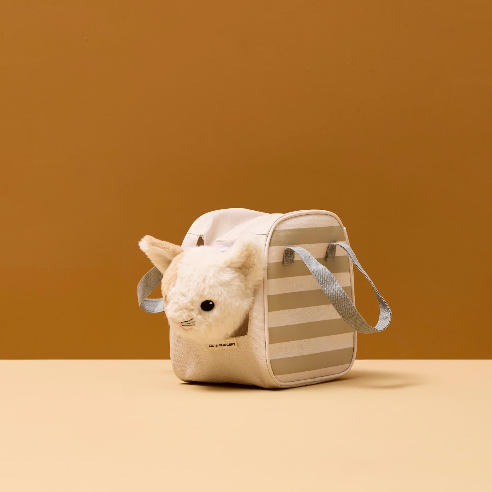 Cat and Carrier Bag