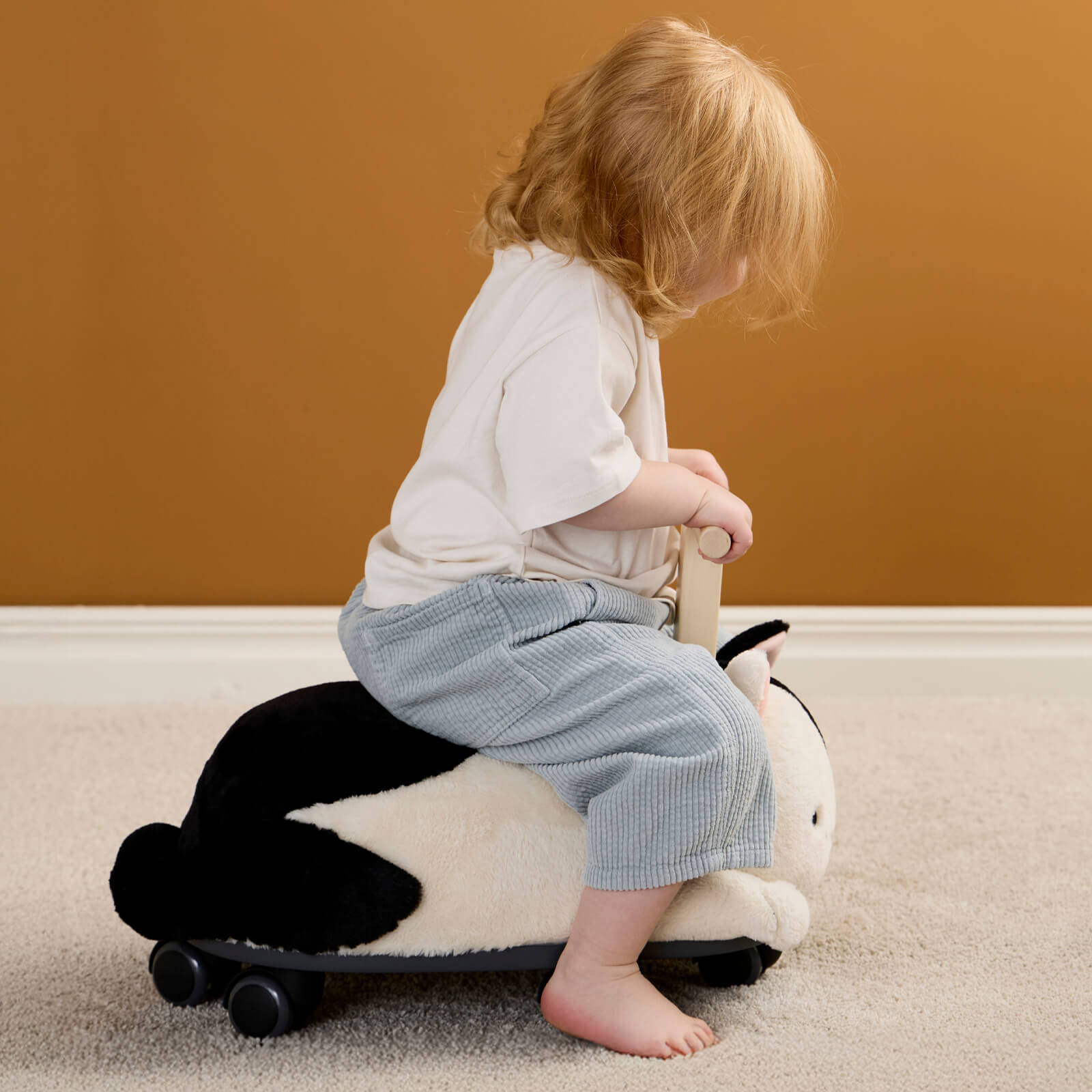 Ride Along Sture The Cat