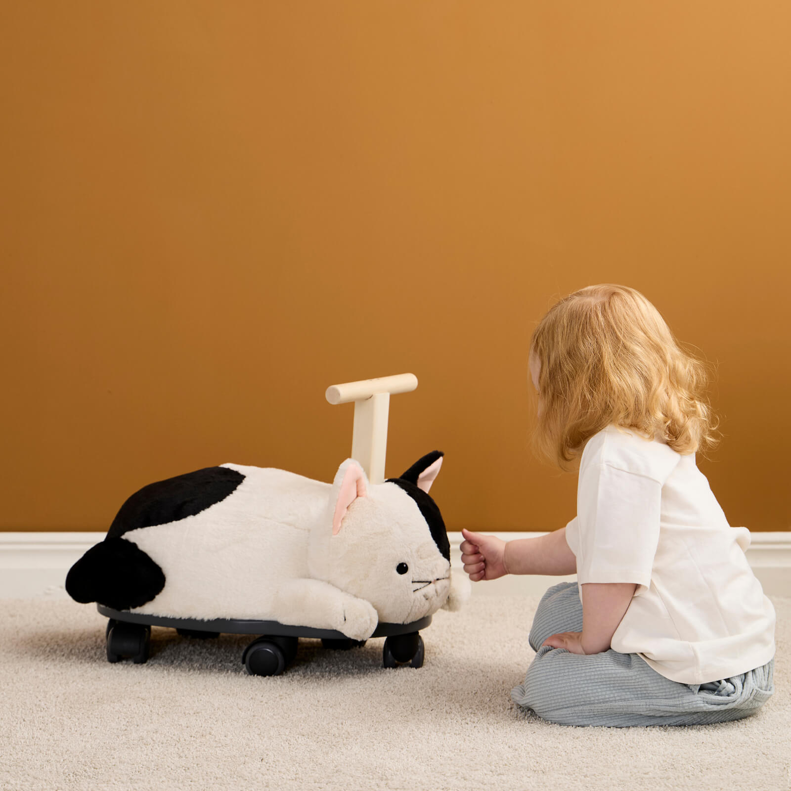 Ride Along Sture The Cat