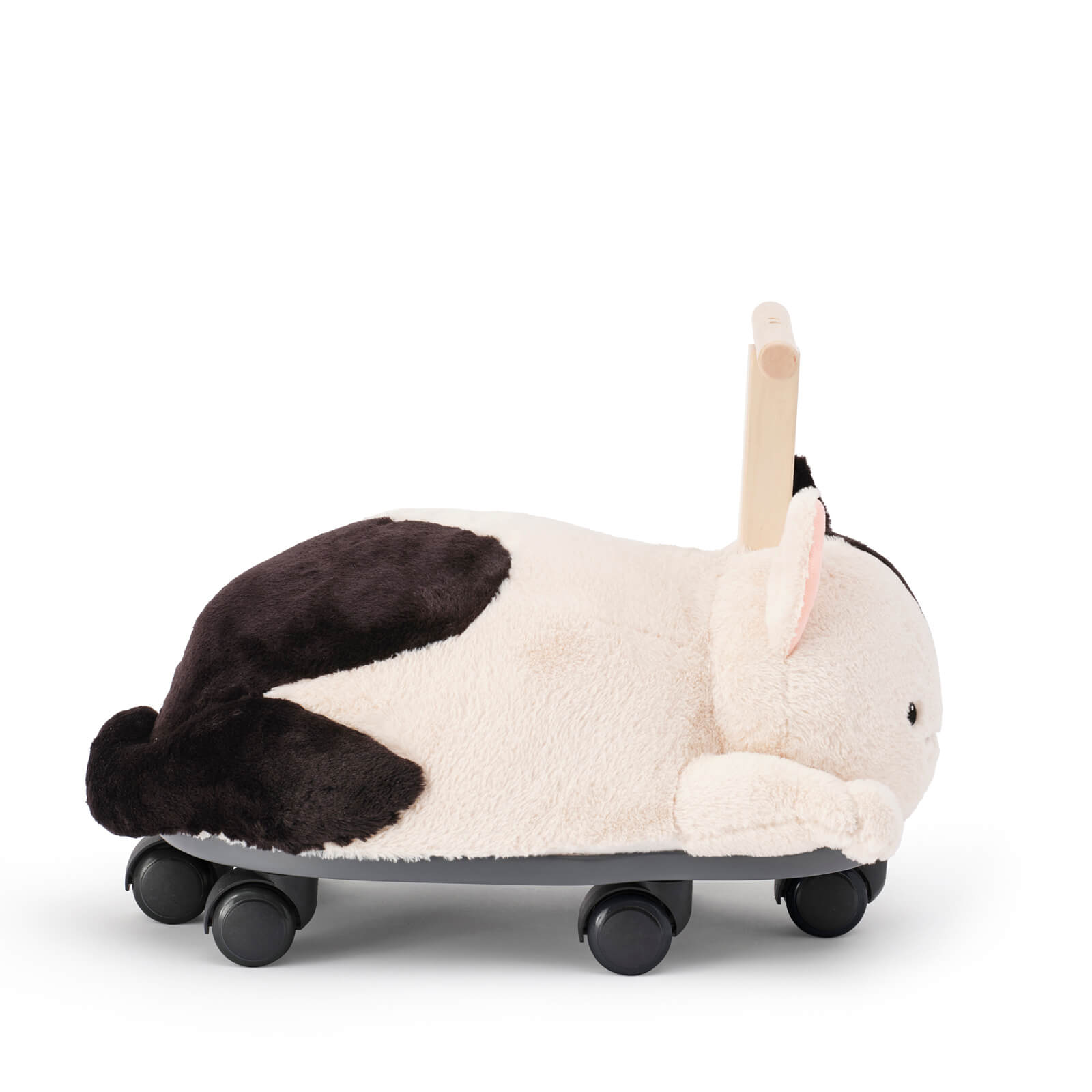 Ride Along Sture The Cat