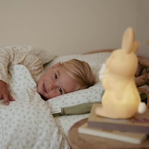 Night Light - Bunny Fairy Garden