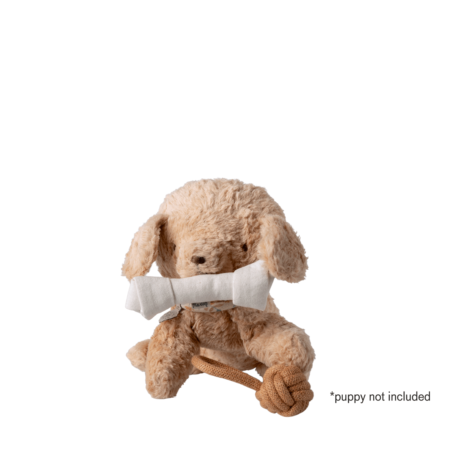 Pet Supply - Toys