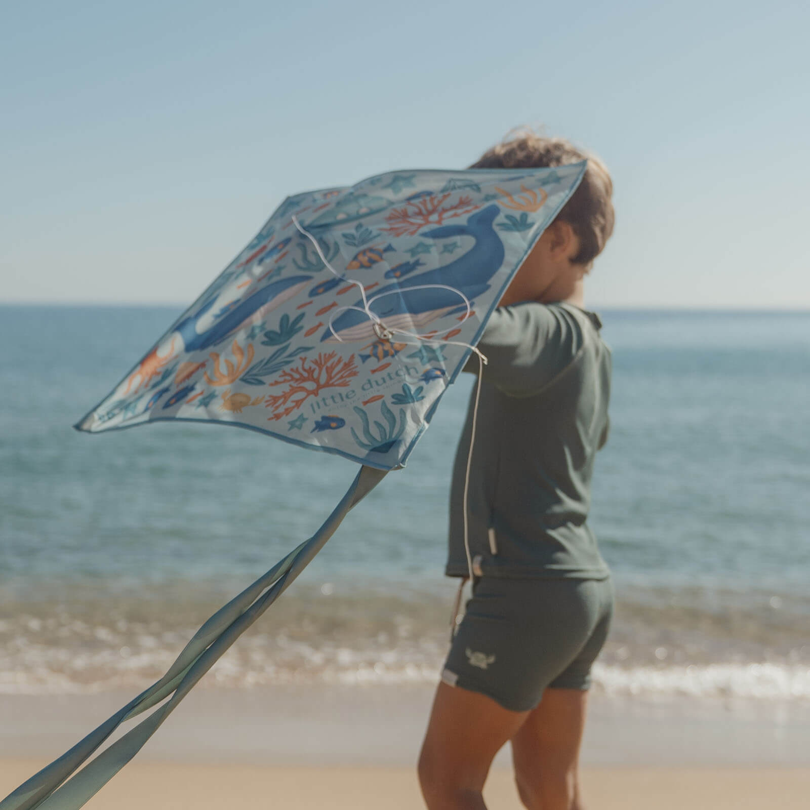 Kite - Ocean World Diamond