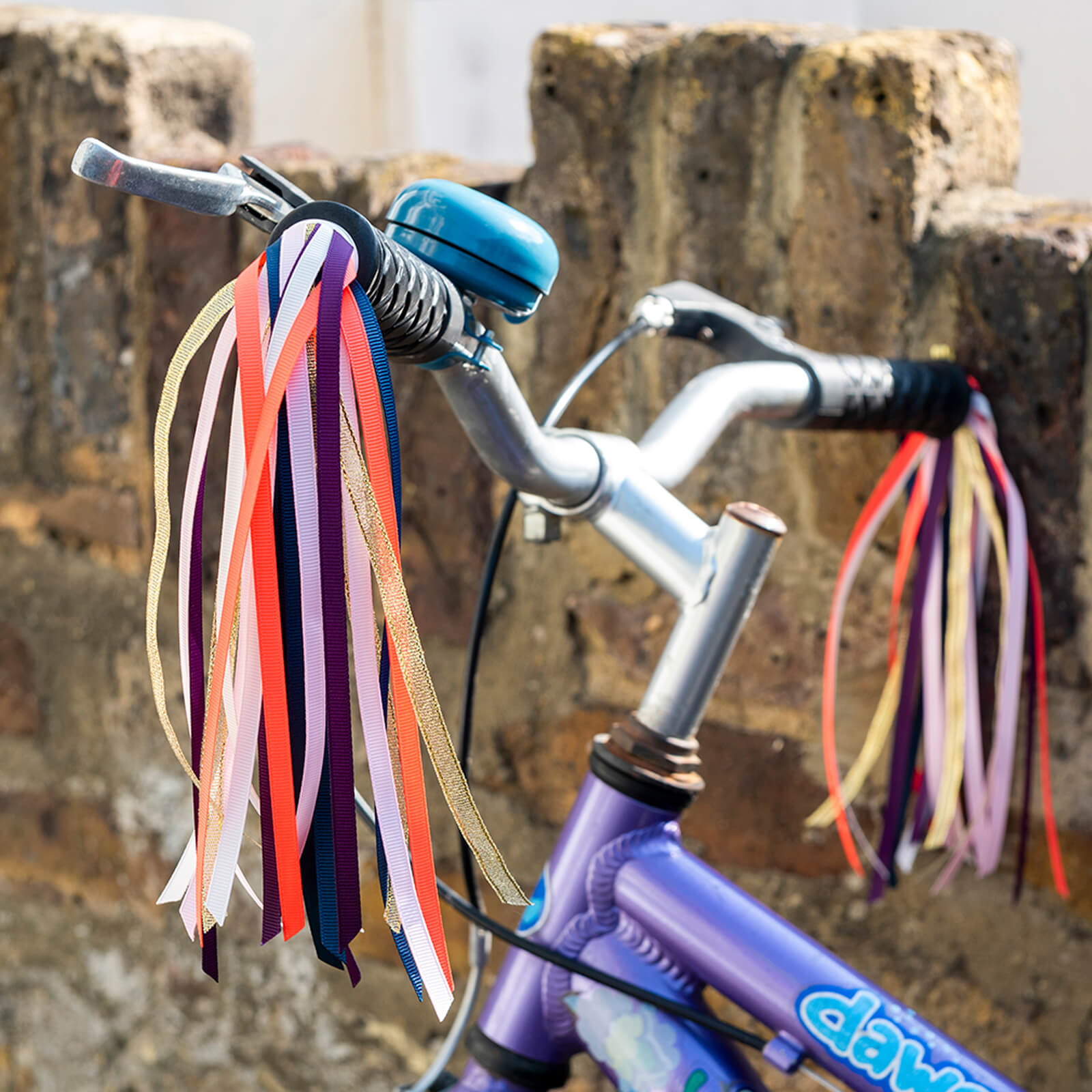 Bicycle Streamers - Fairies In The Garden