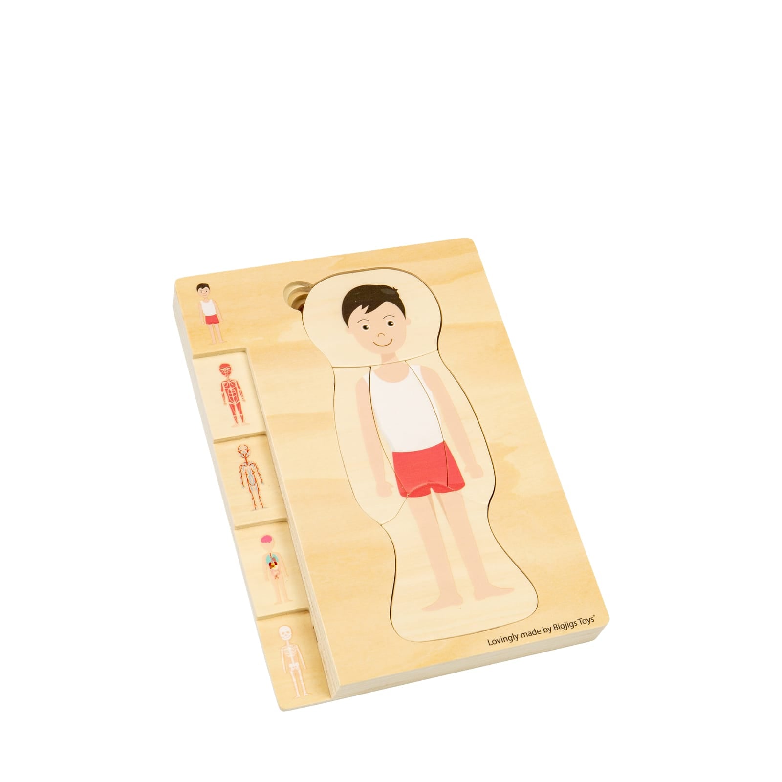 Anatomy Puzzle - Boy
