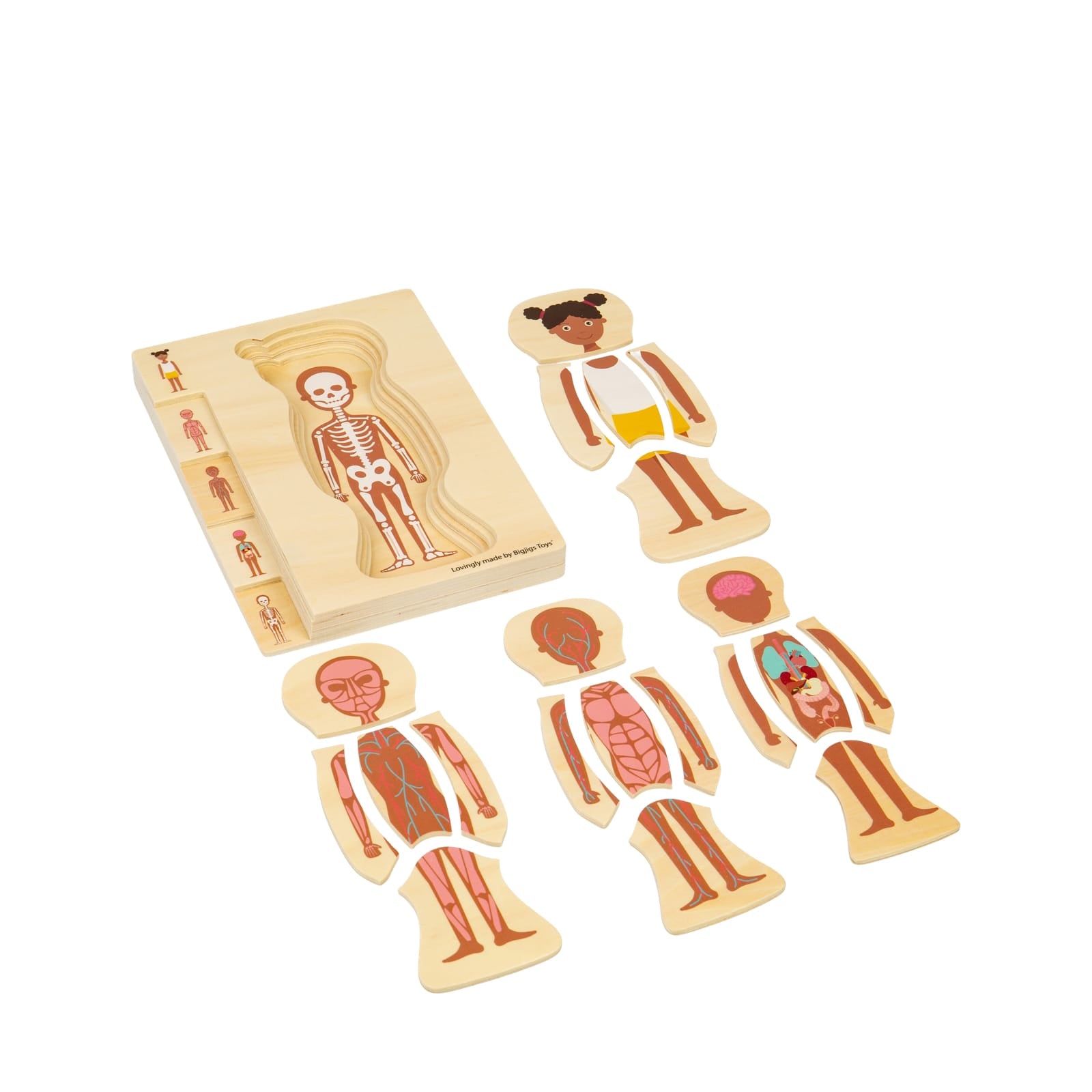 Anatomy Puzzle - Girl