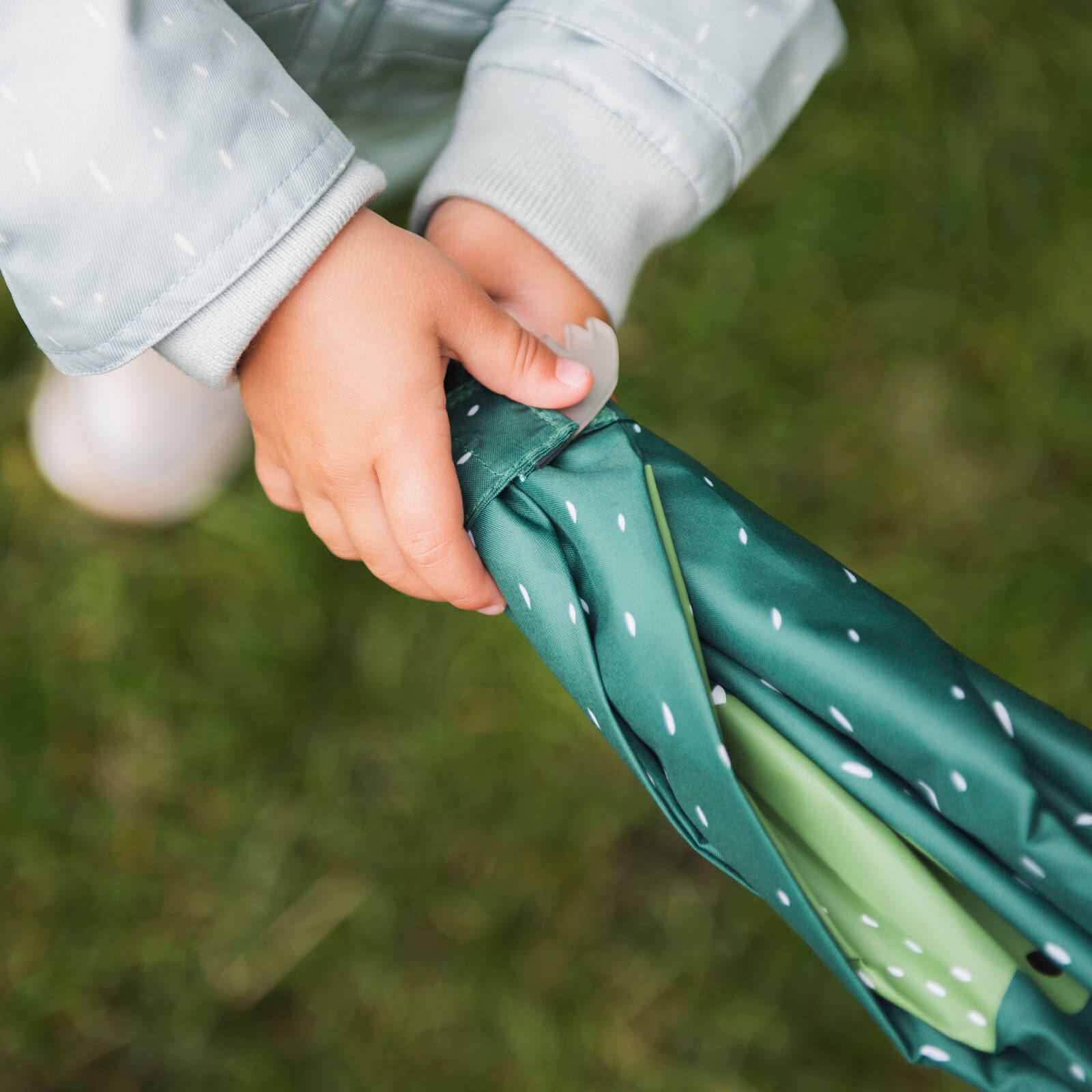 Umbrella - Mr Crocodile