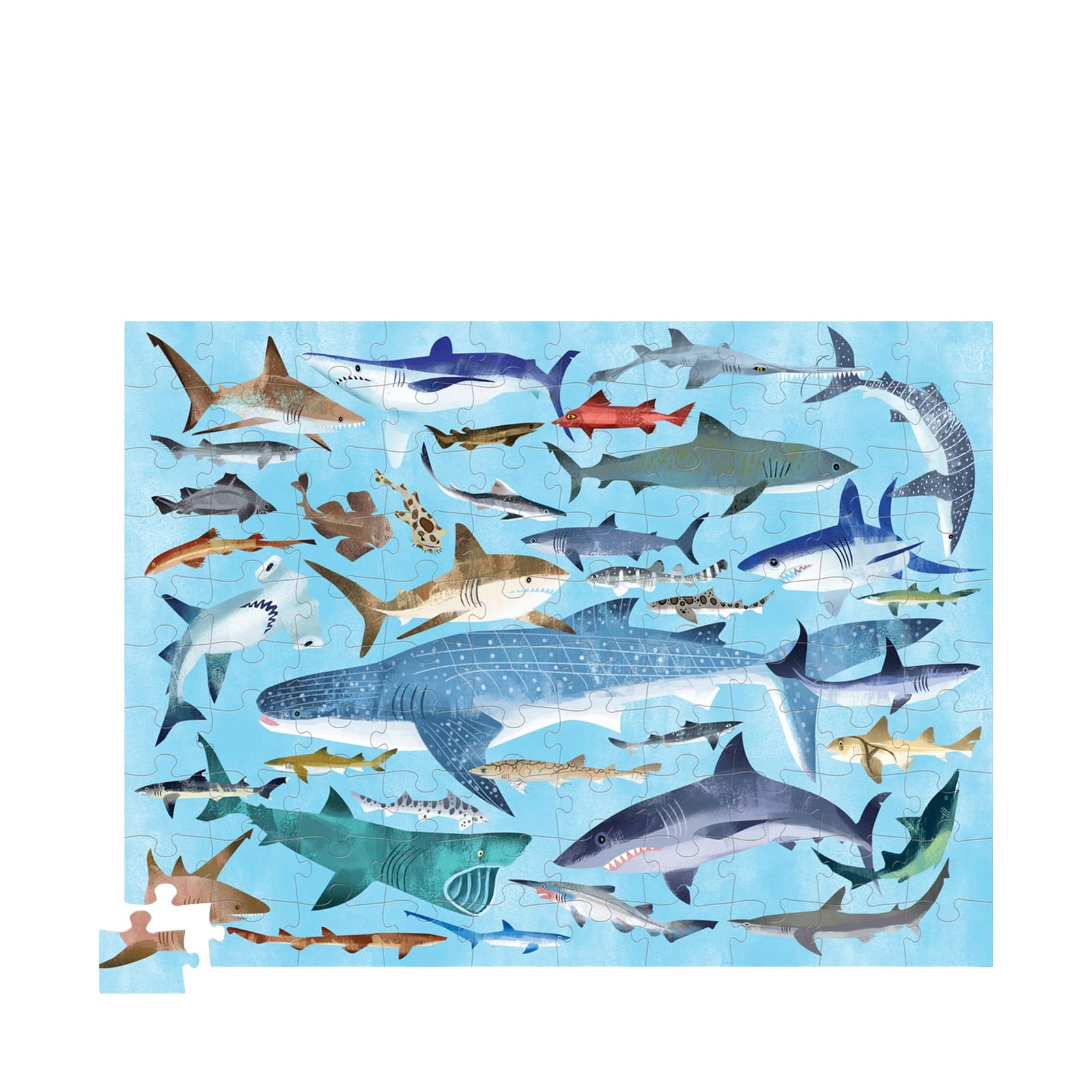 36 Sharks - 100 Piece Puzzle