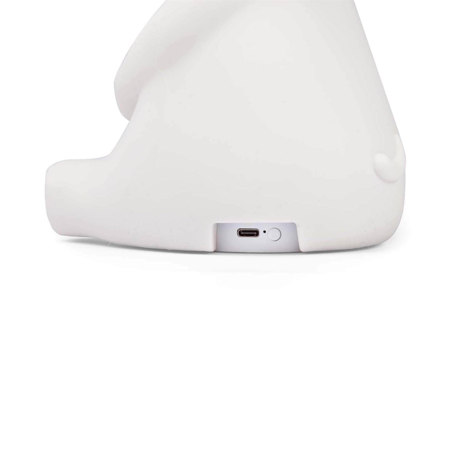 Night Light - Fun Dog