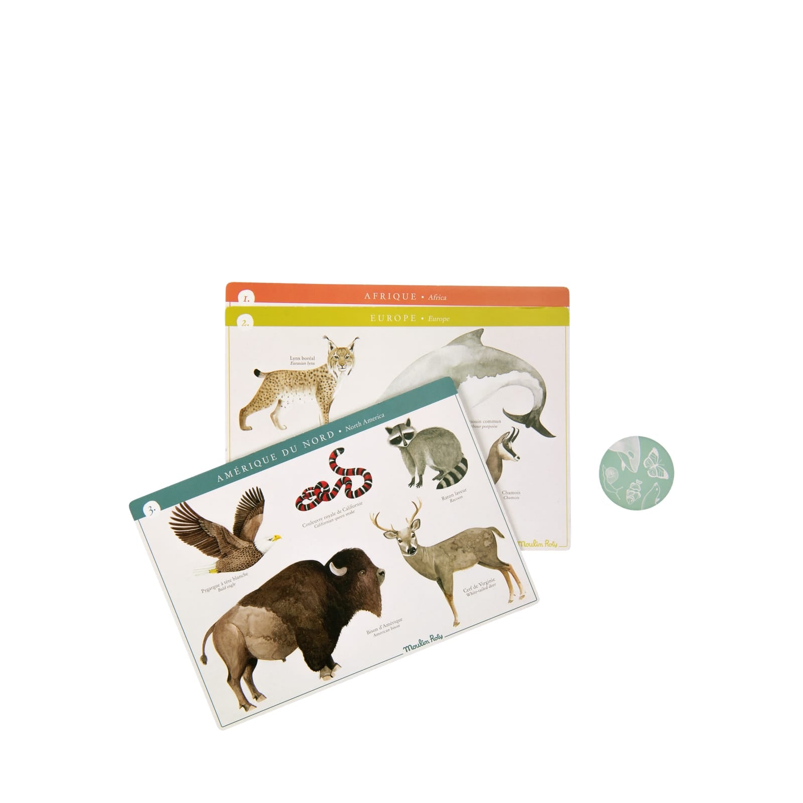 Lotto Game - Creatures