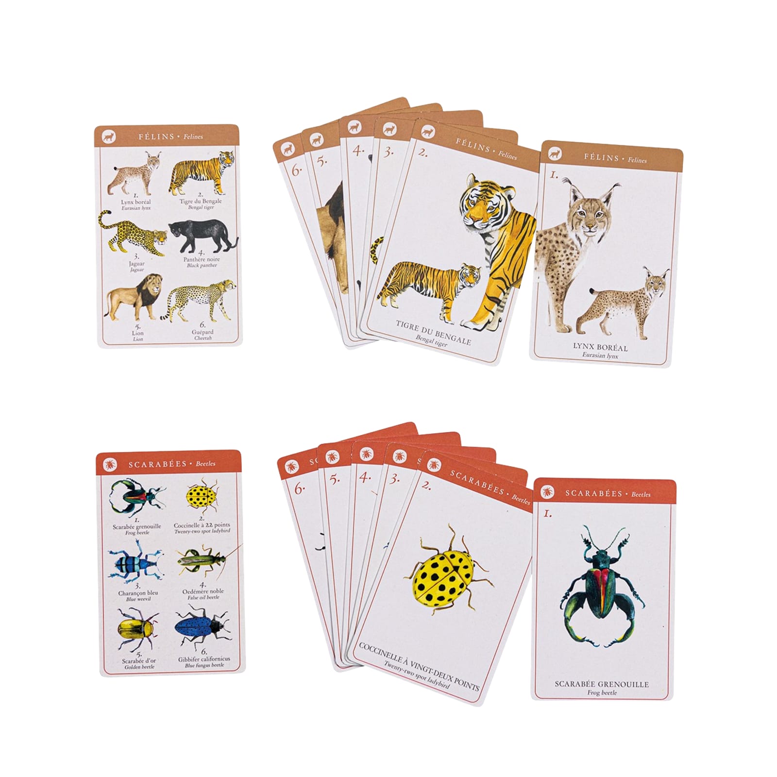Collecting Card Game - Fantasy Creatures