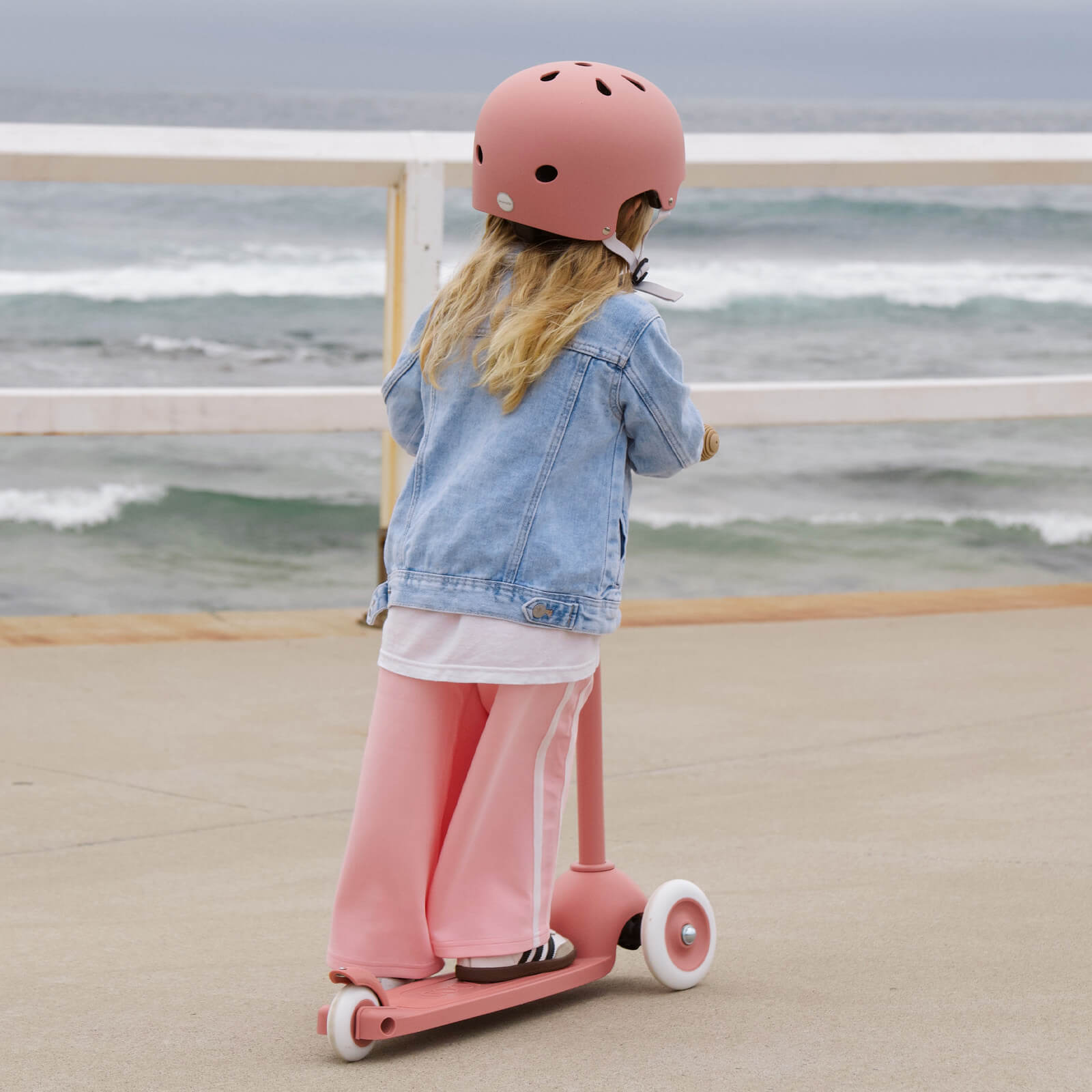Eco Scooter Raspberry