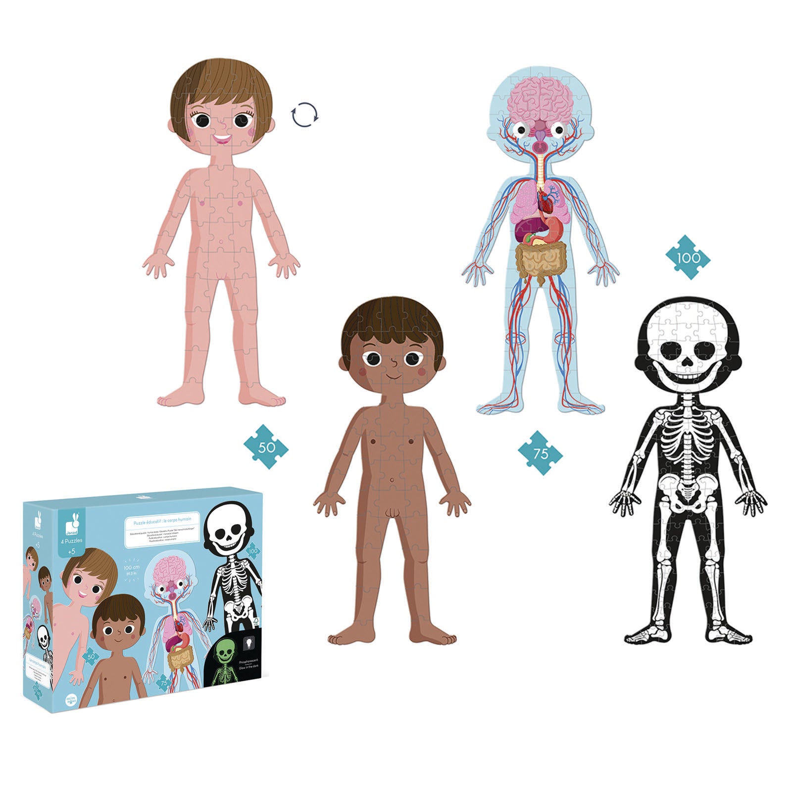 Educational Puzzle - Human Body