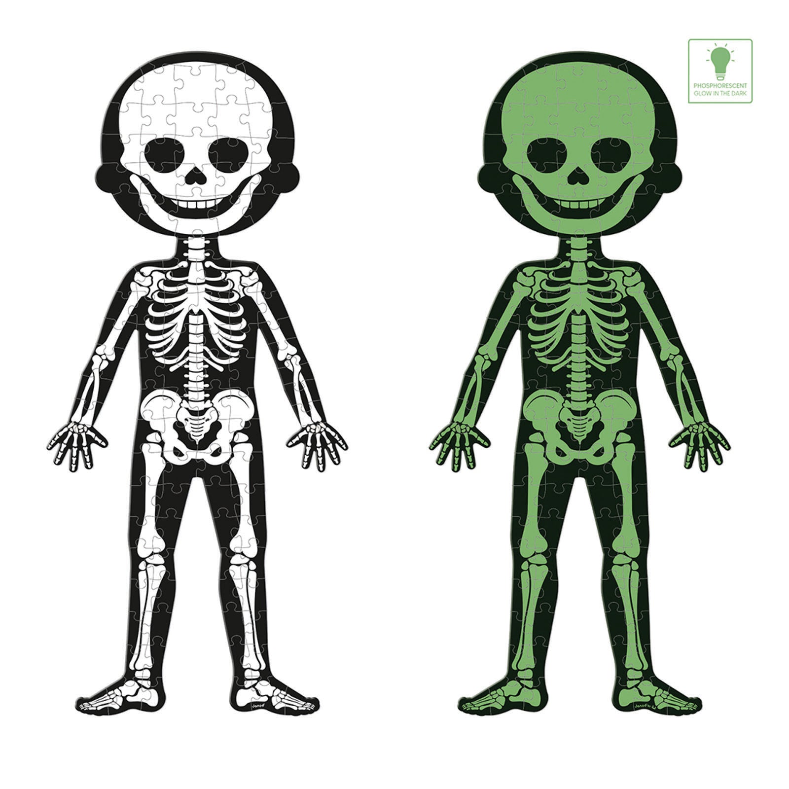 Educational Puzzle - Human Body