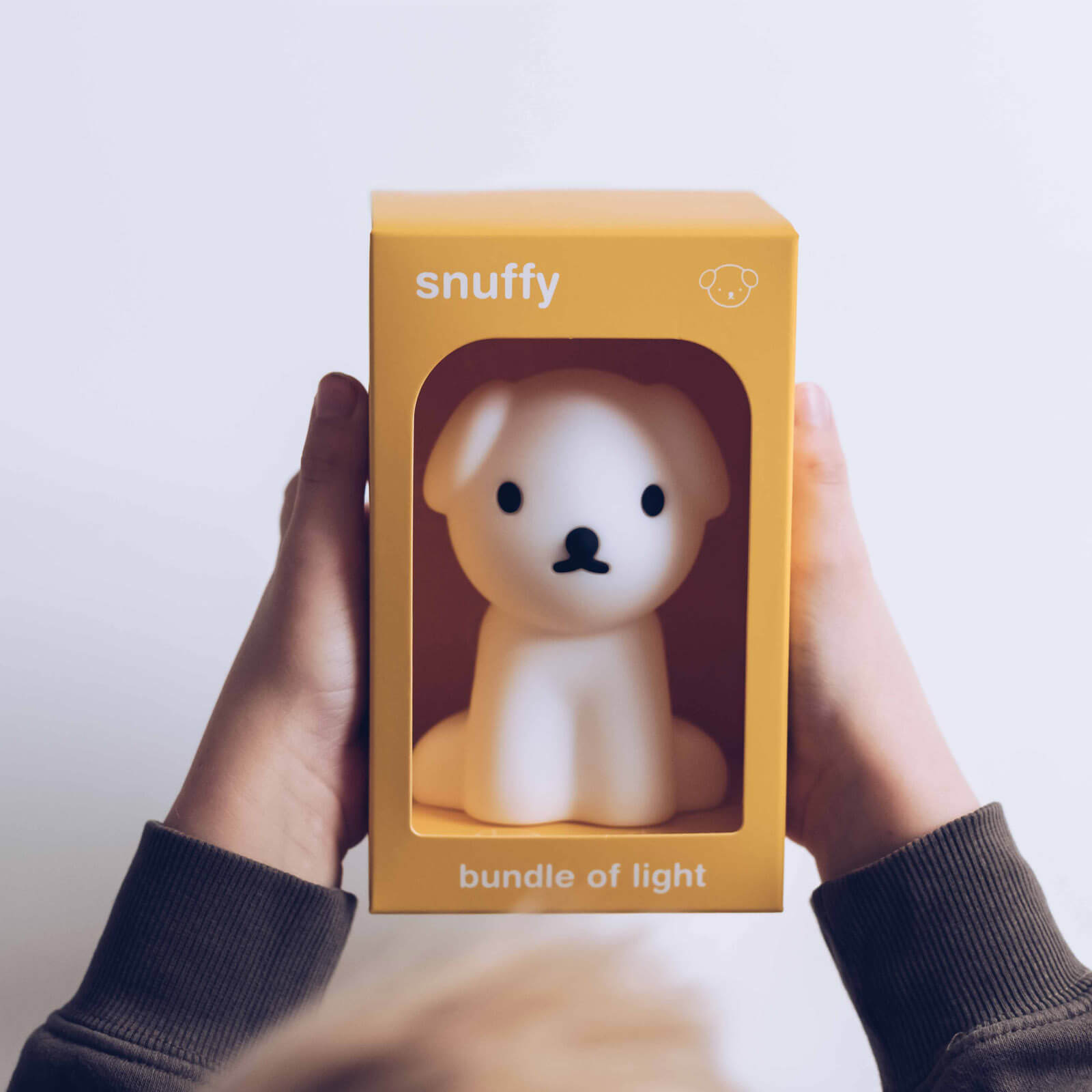 Bundle Of Light Lamp - Snuffy