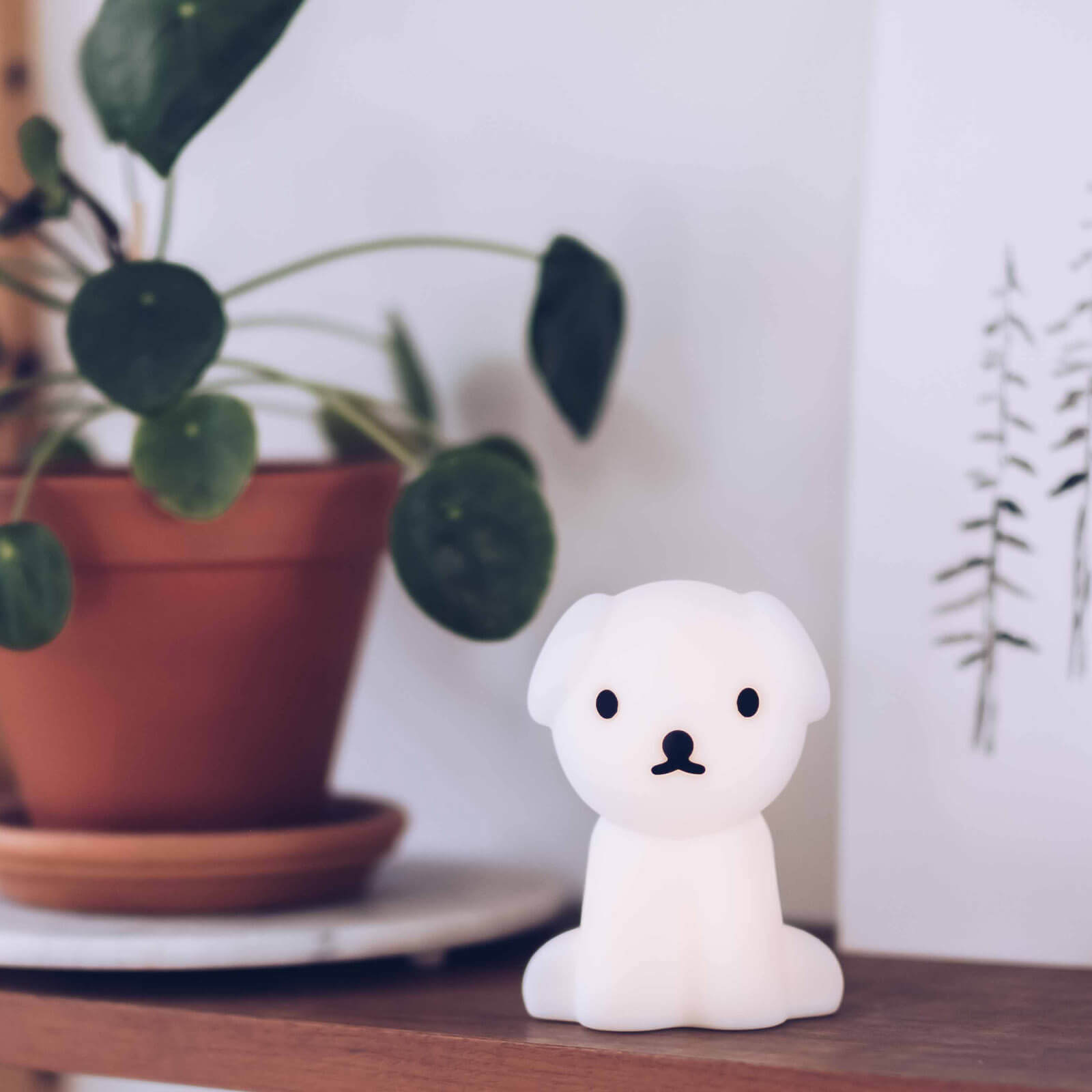 Bundle Of Light Lamp - Snuffy
