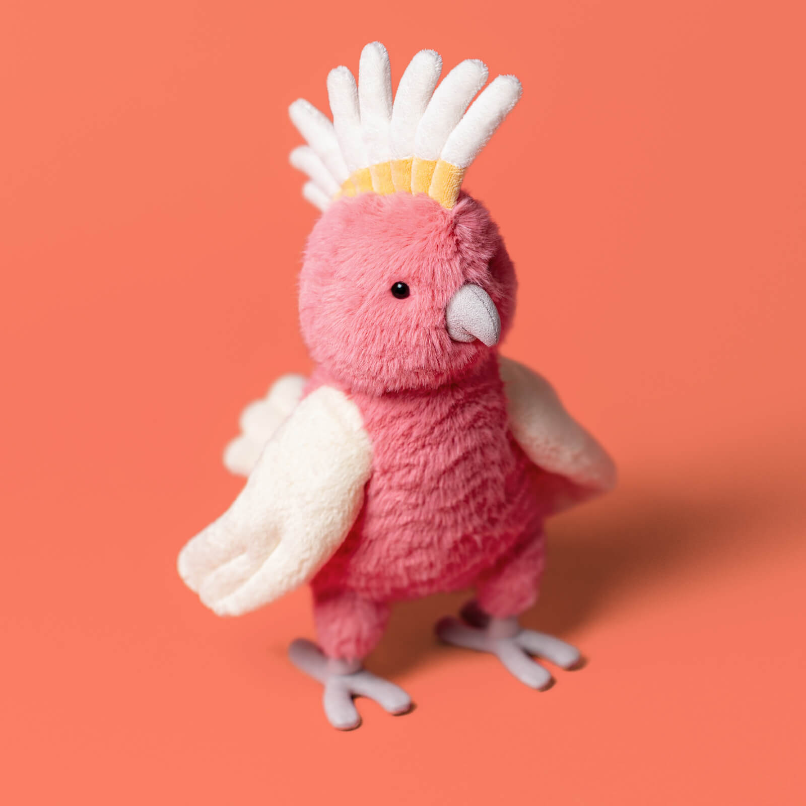 Squawkatoo
