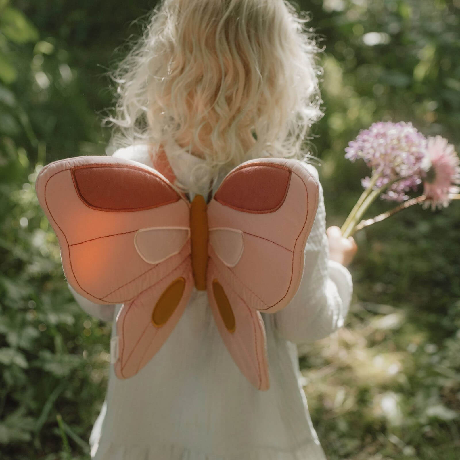 Fairy Wings and Magic Wand Costume