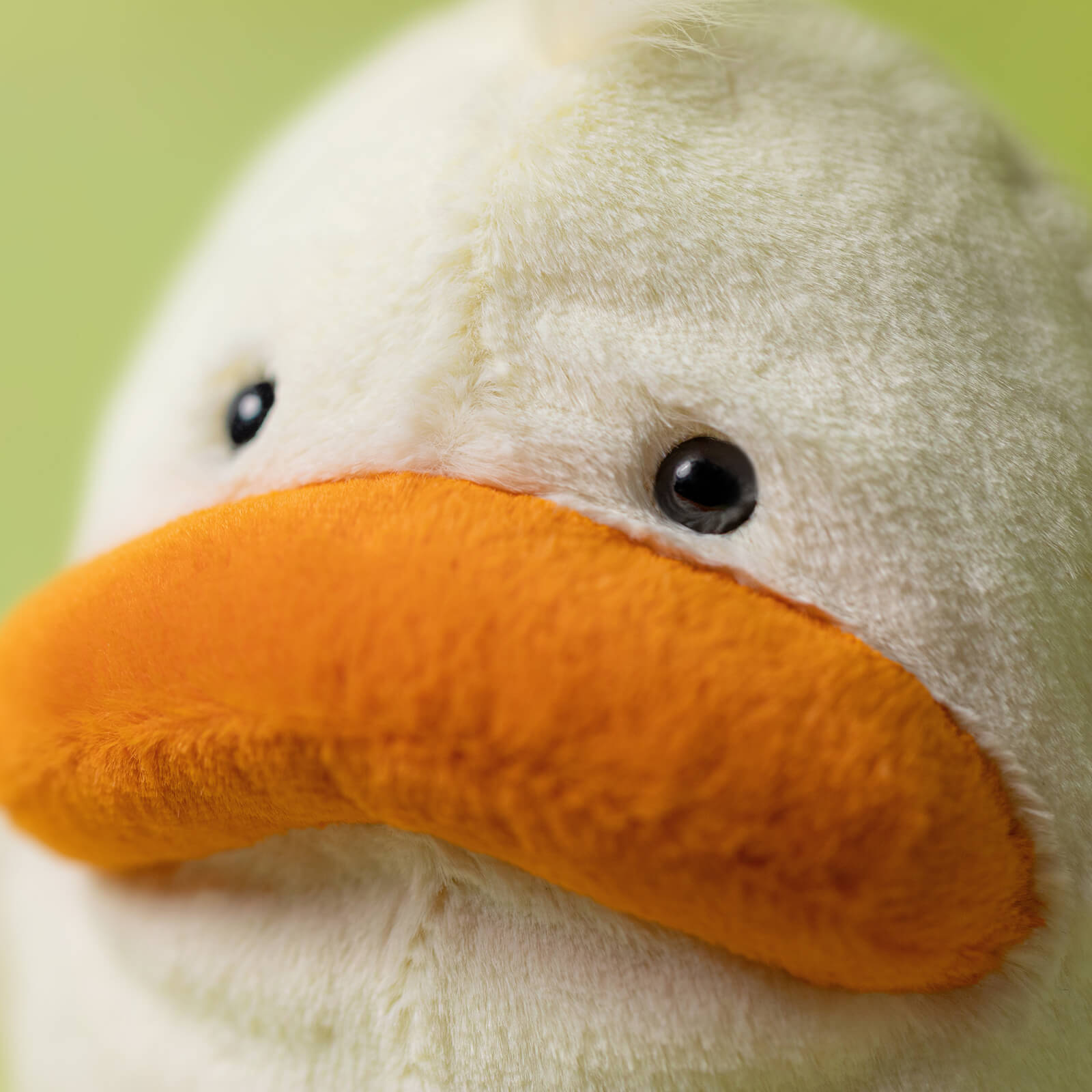 Delia Duck