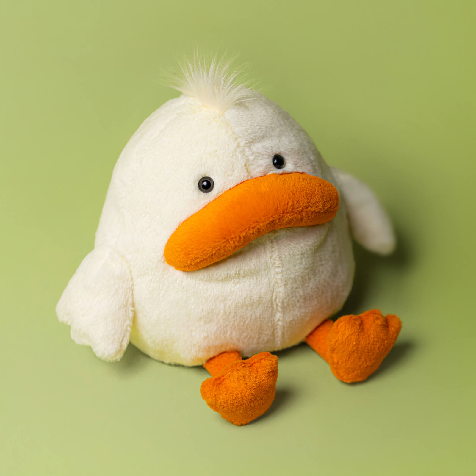 Delia Duck