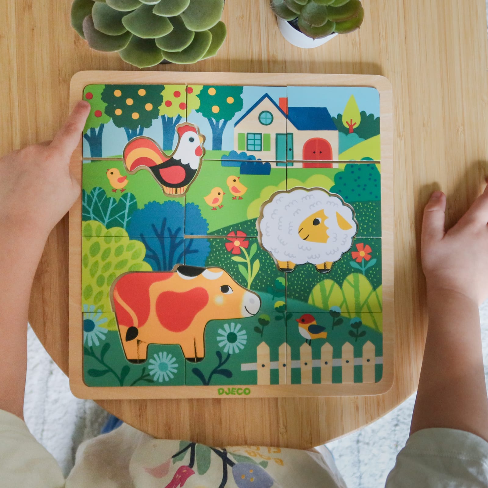 Wooden 12 Piece Puzzle Board - Jungle