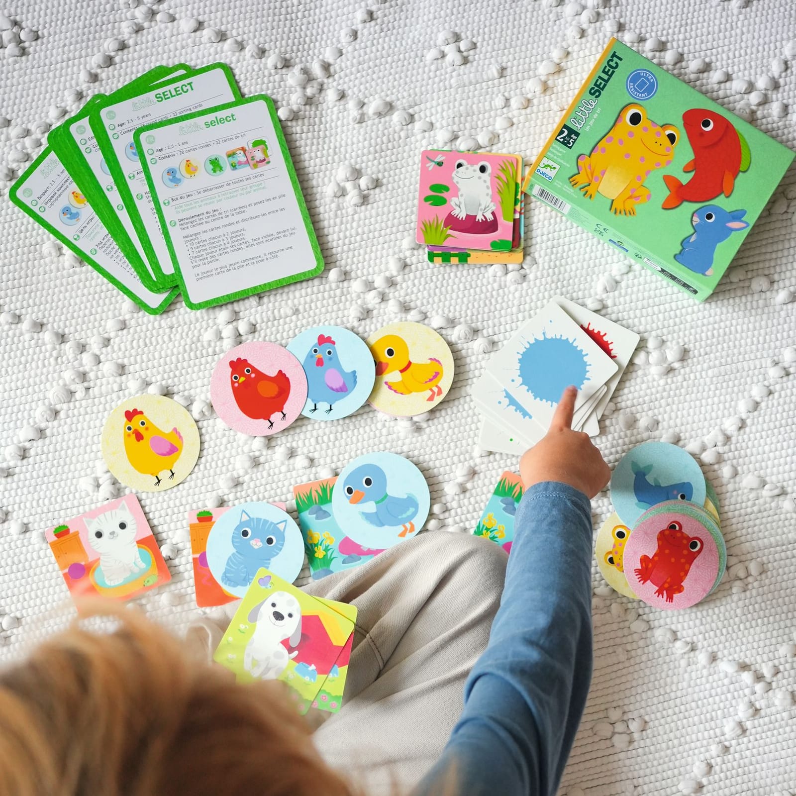 Sorting Card Game - Little Select