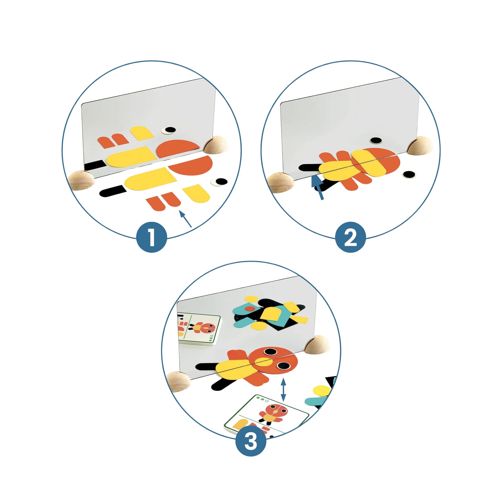 Mirror Images - Animals