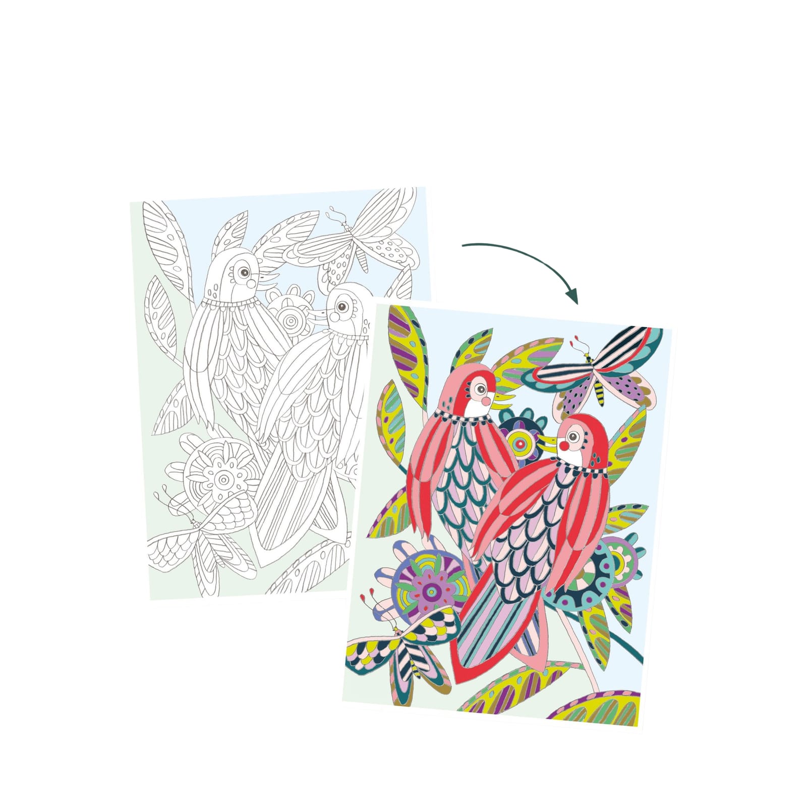 3 Colouring Posters - Birds