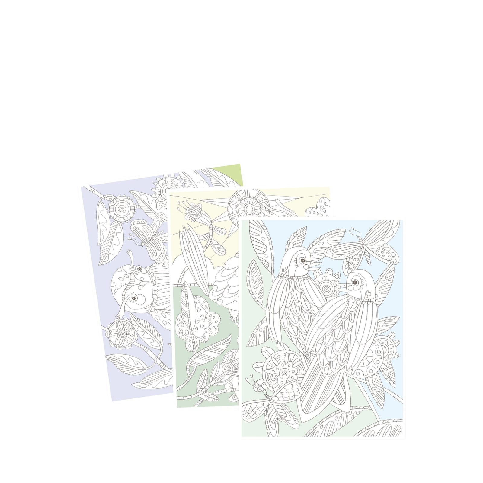 3 Colouring Posters - Birds