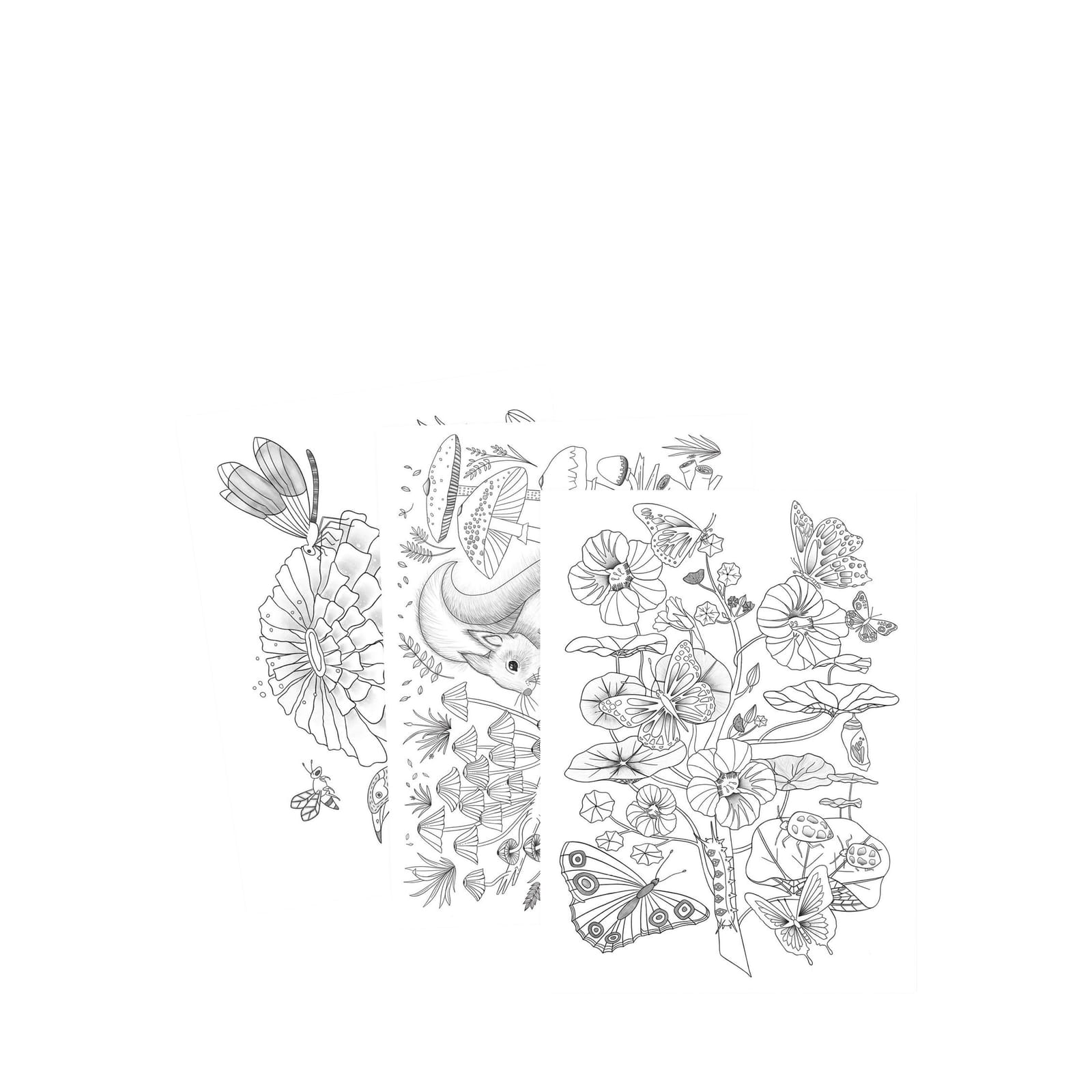 3 Colouring Posters - Naturalist