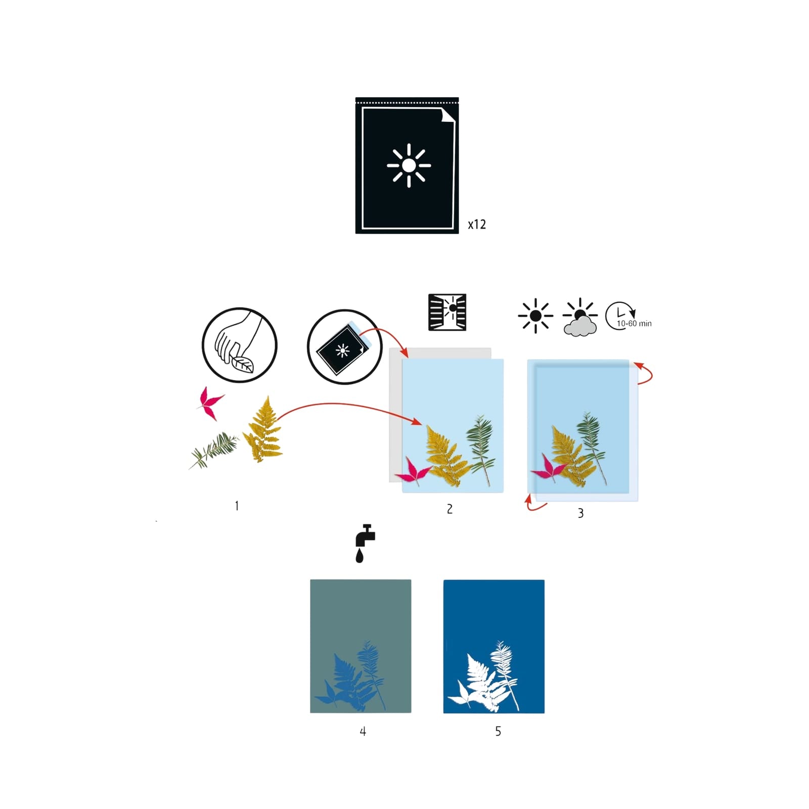 Light Sensitive Paper Craft Set - 12 Paper Sheets