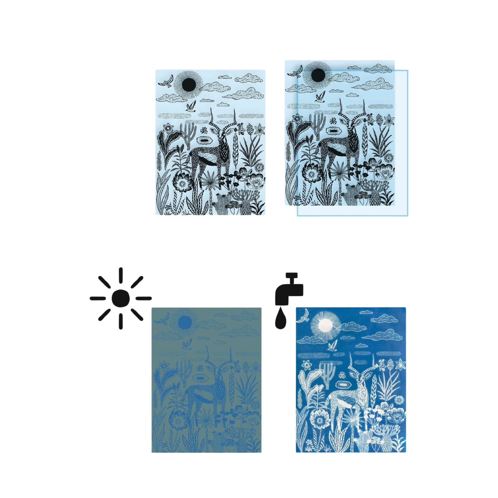Light Sensitive Paper Craft Set - The Savannah
