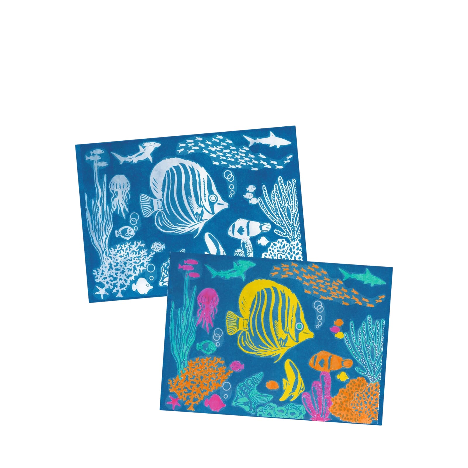 Light Sensitive Paper Craft Set - Marine Animals