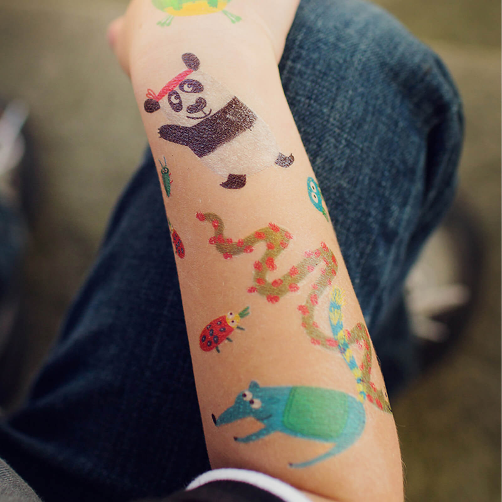 50 Temporary Tattoos - Snouts