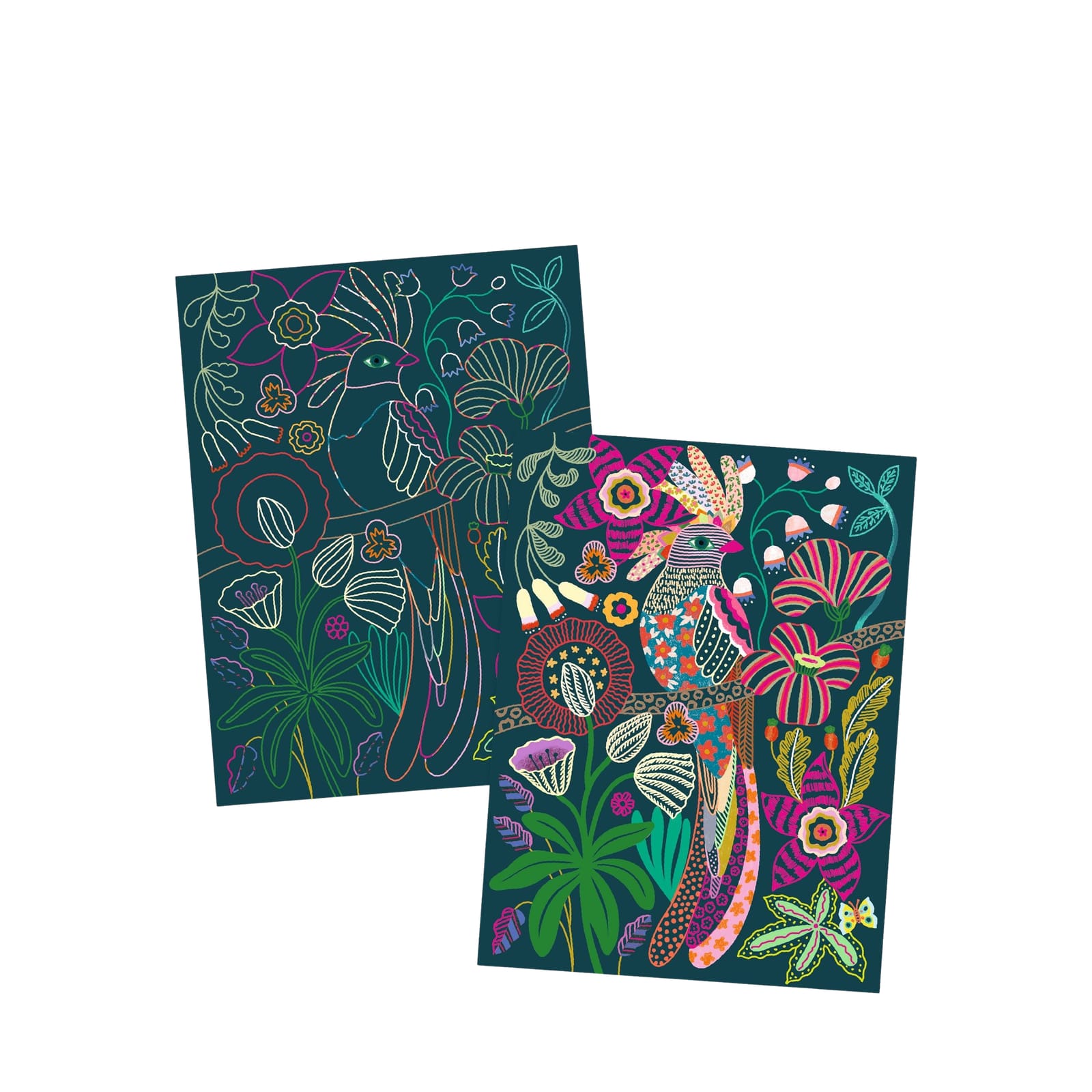 Colour Scratch Boards - Jungle