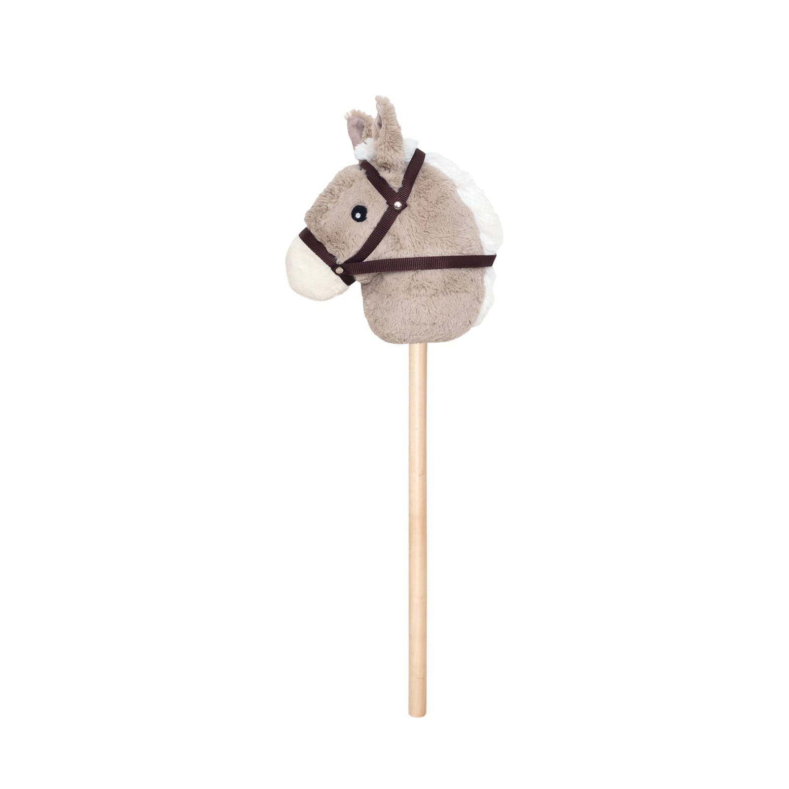Hobby Horse