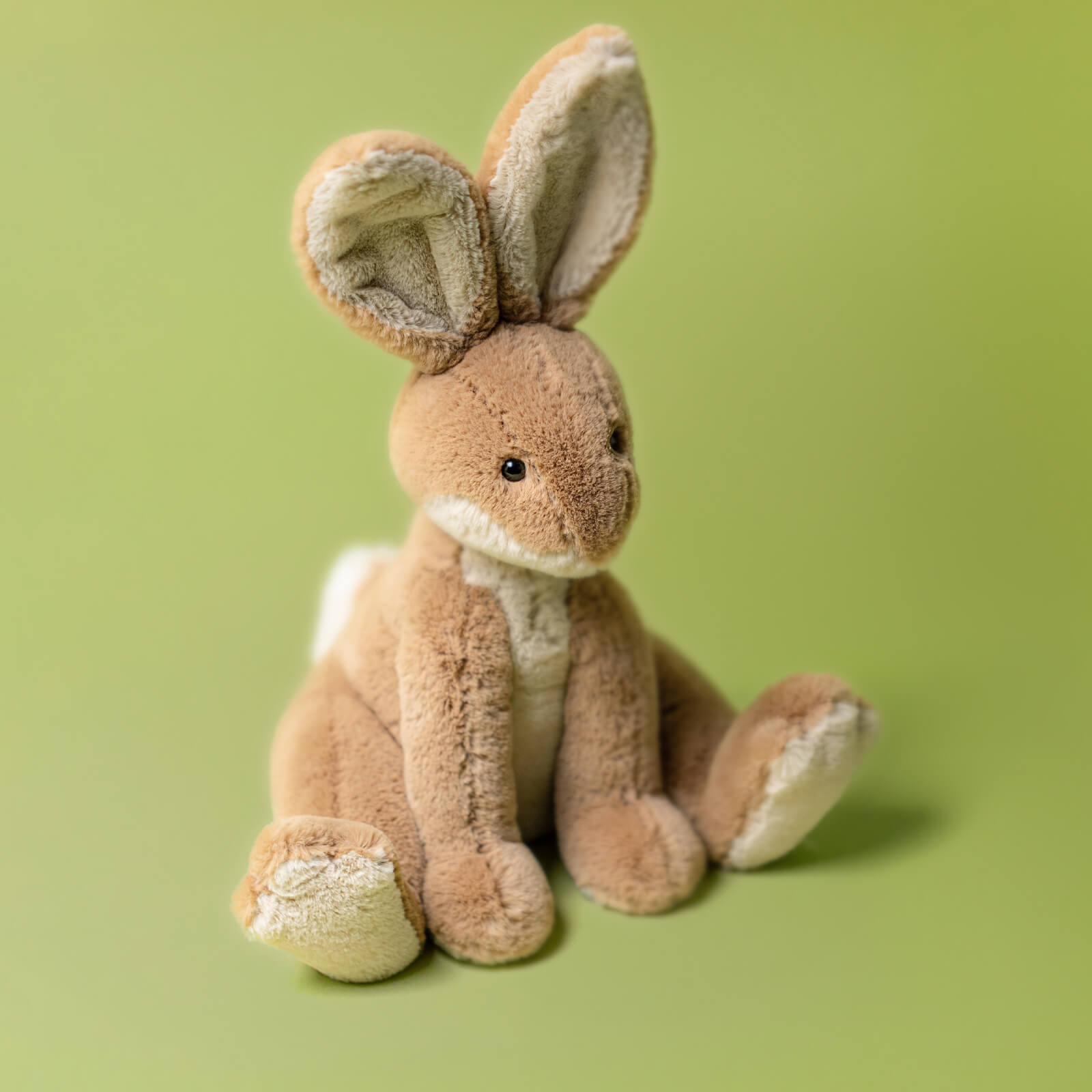 Horticus Hare