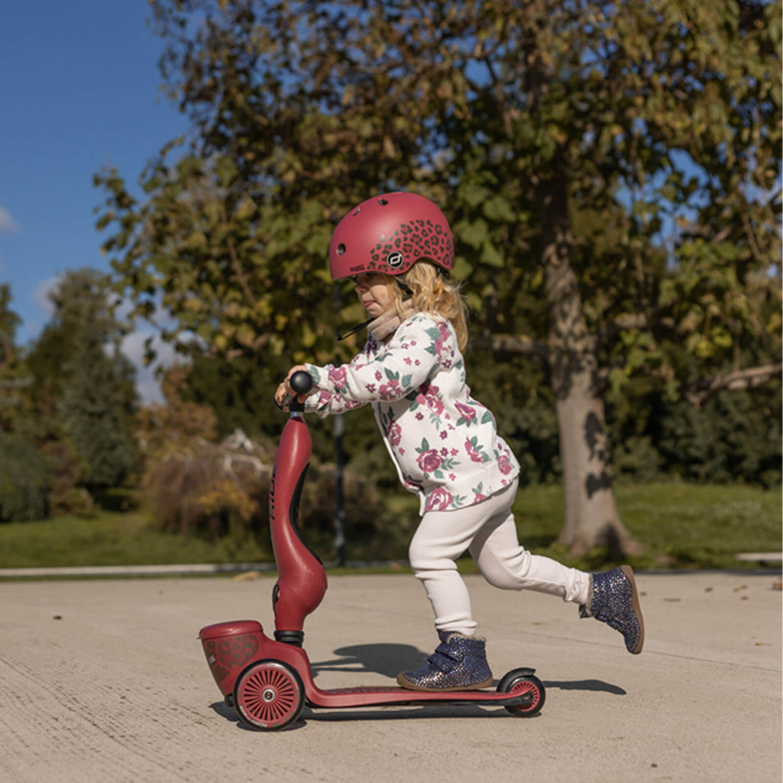 Highwaykick 1 Scooter - Wildcat