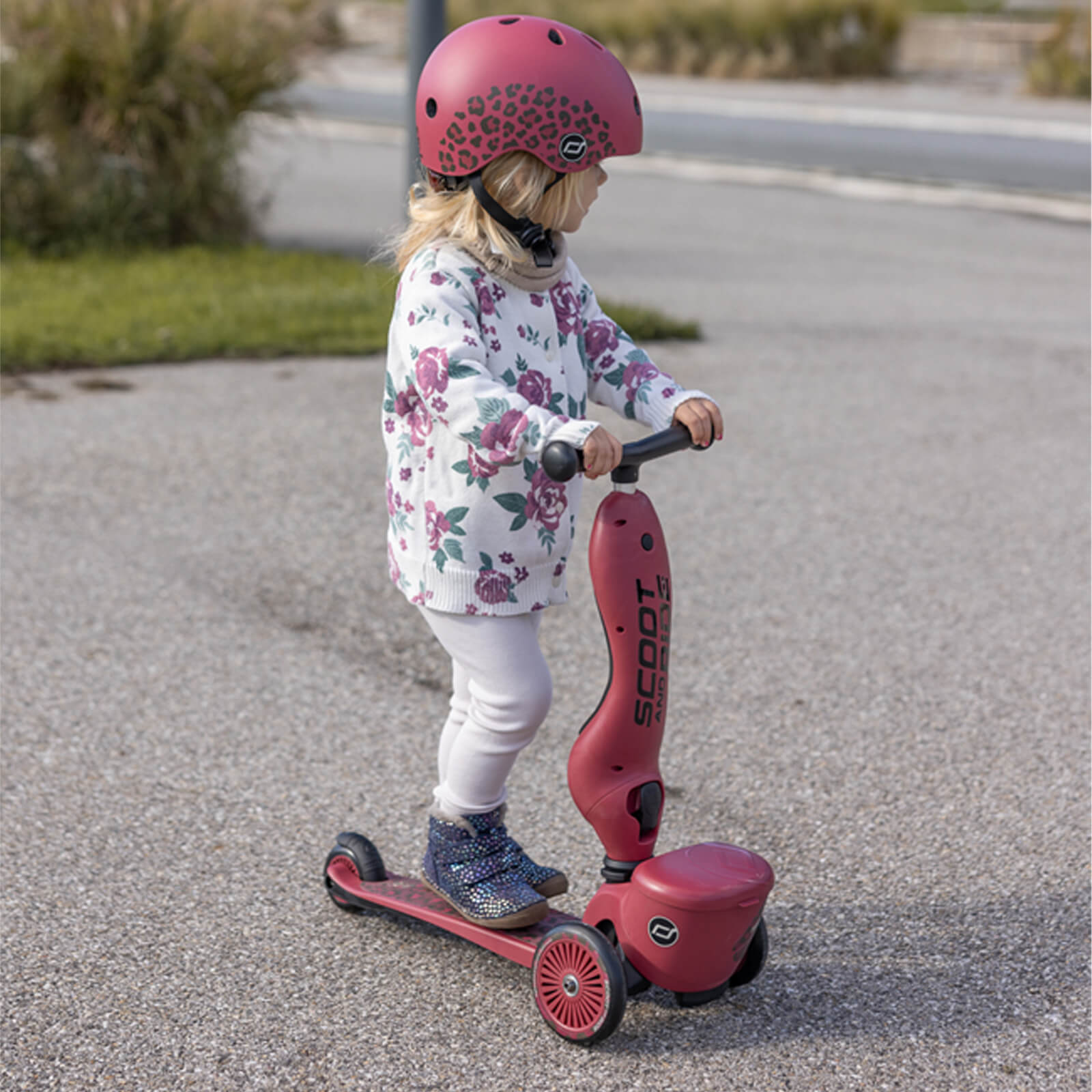 Highwaykick 1 Scooter - Wildcat