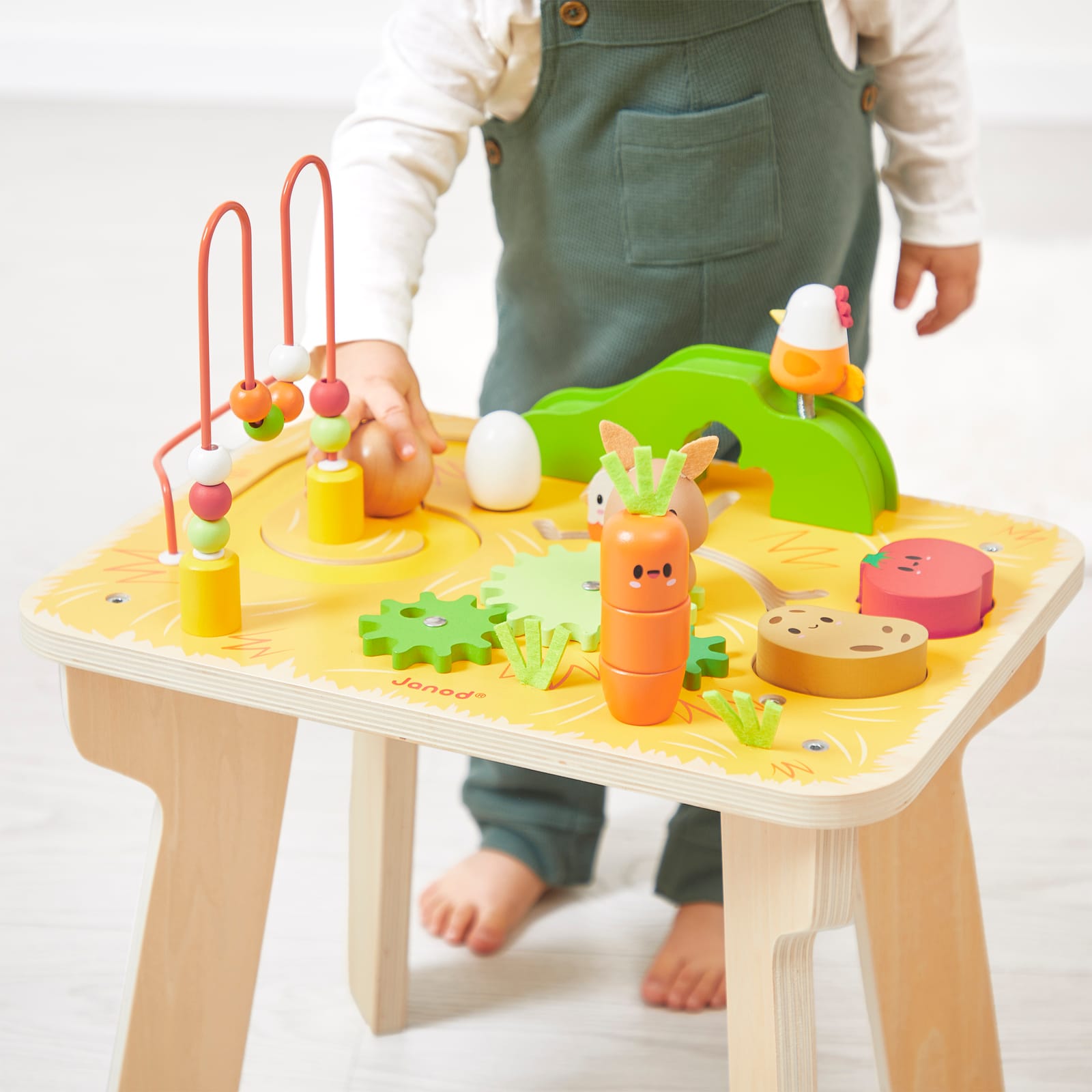Activity Table - Farm