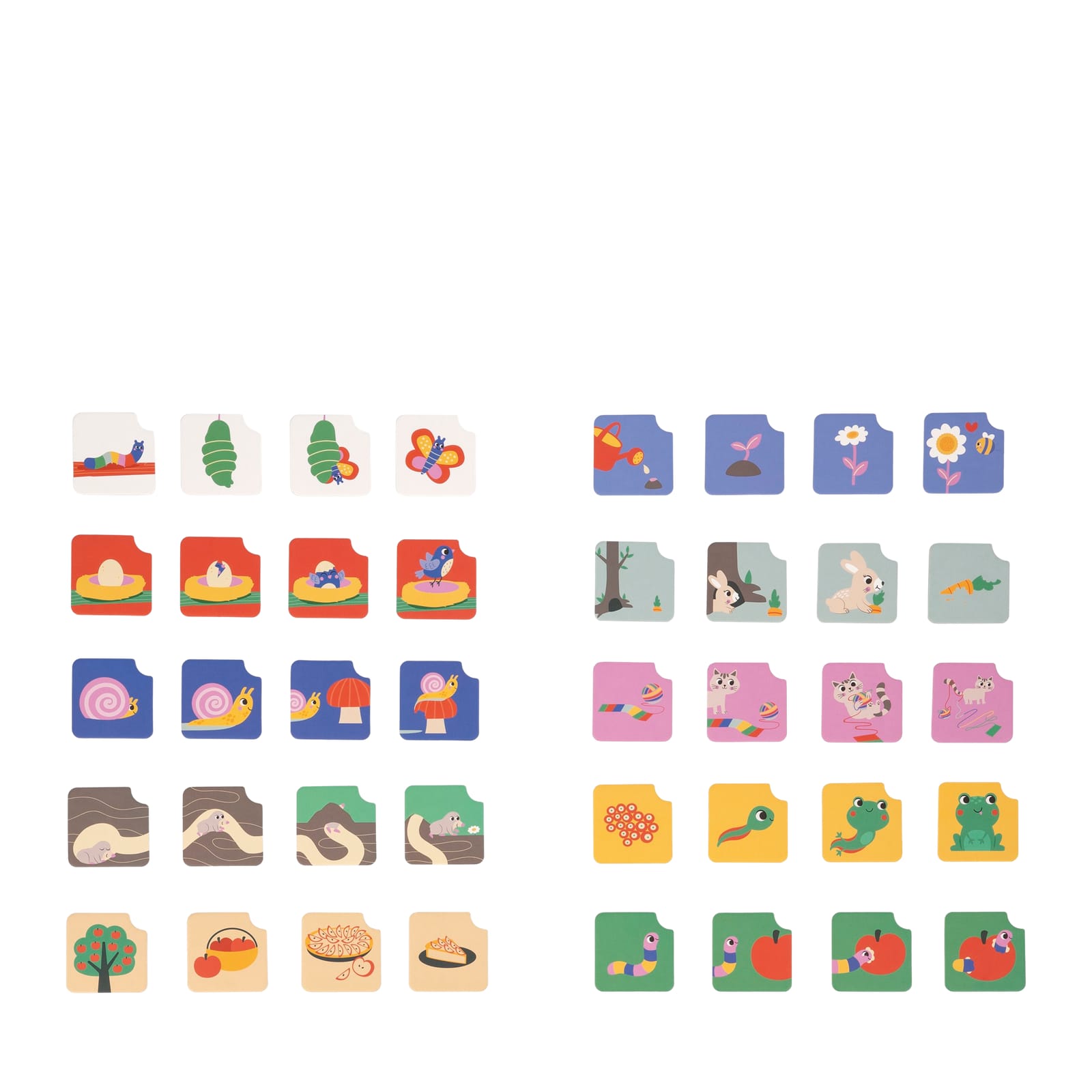 Sequences Cards - The Garden