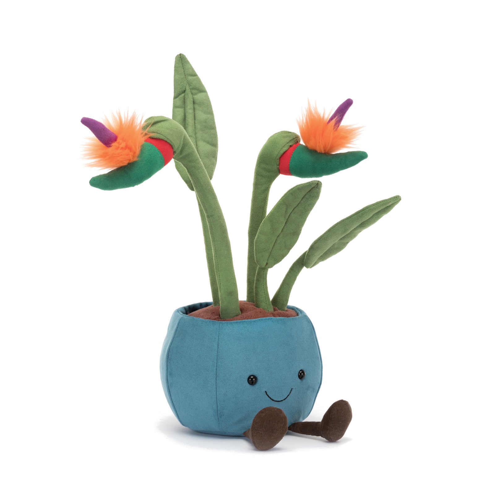 Amuseable Bird of Paradise