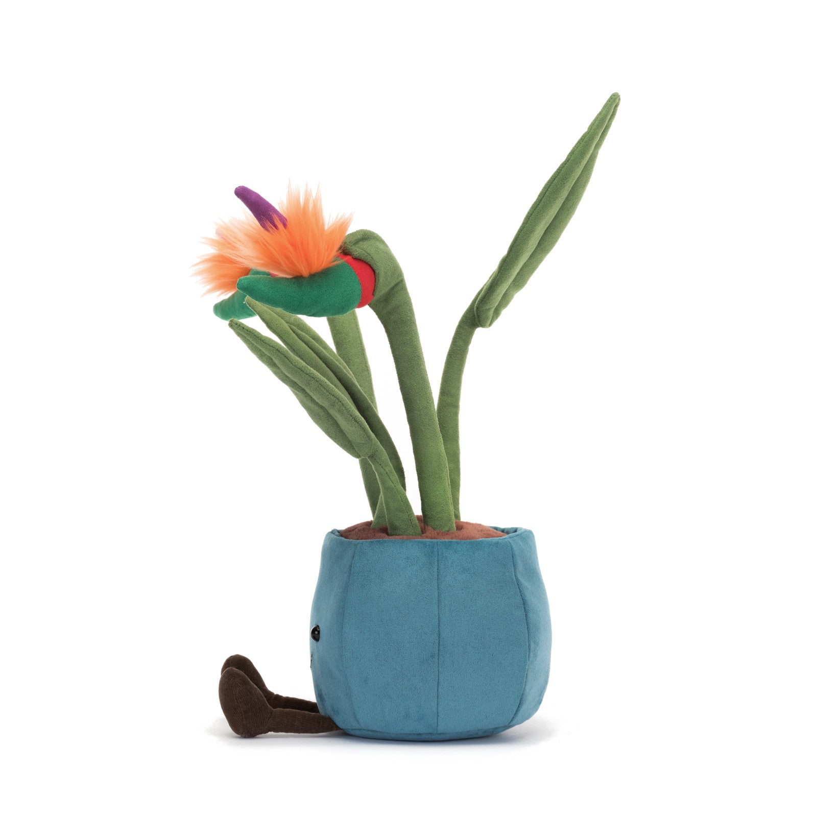 Amuseable Bird of Paradise