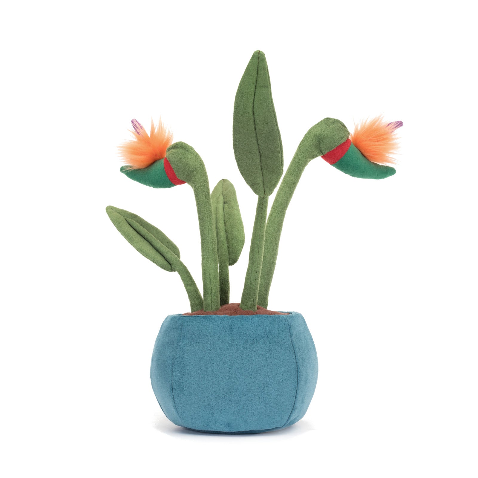 Amuseable Bird of Paradise