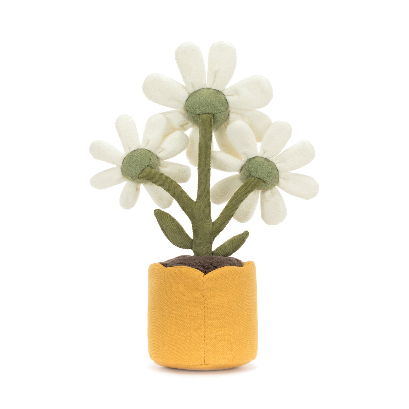 Amuseable Daisy