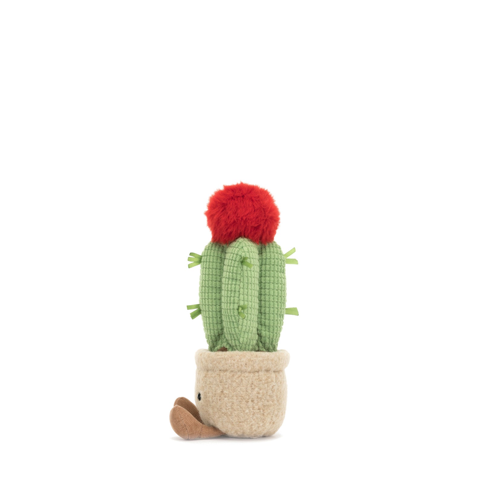 Amuseable Moon Cactus