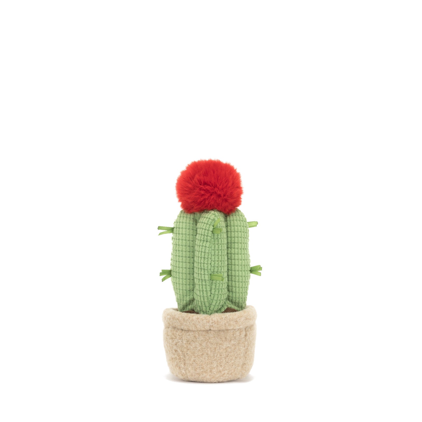 Amuseable Moon Cactus