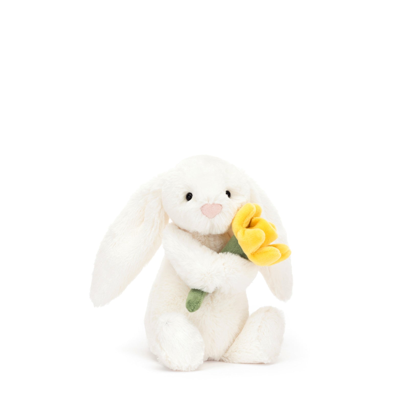 Little Bashful Bunny Daffodil